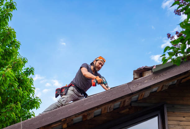 Best Gutter Installation and Repair  in Sturgeon, MO