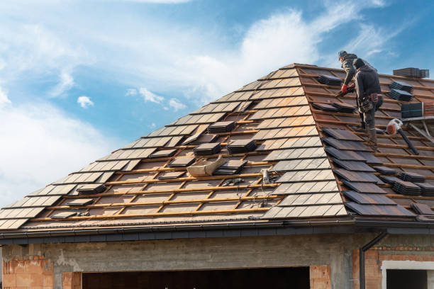 Best Storm Damage Roof Repair  in Sturgeon, MO